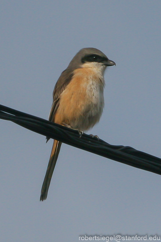 bhutan